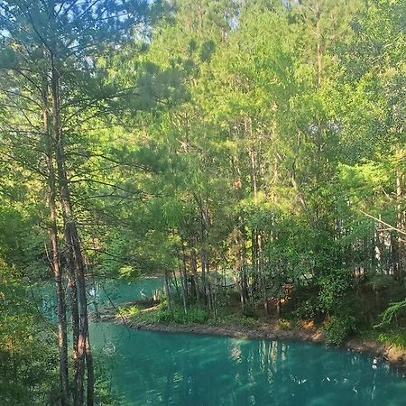 Waterfront Treehouse In A Magical Forest Waller Eksteriør bilde
