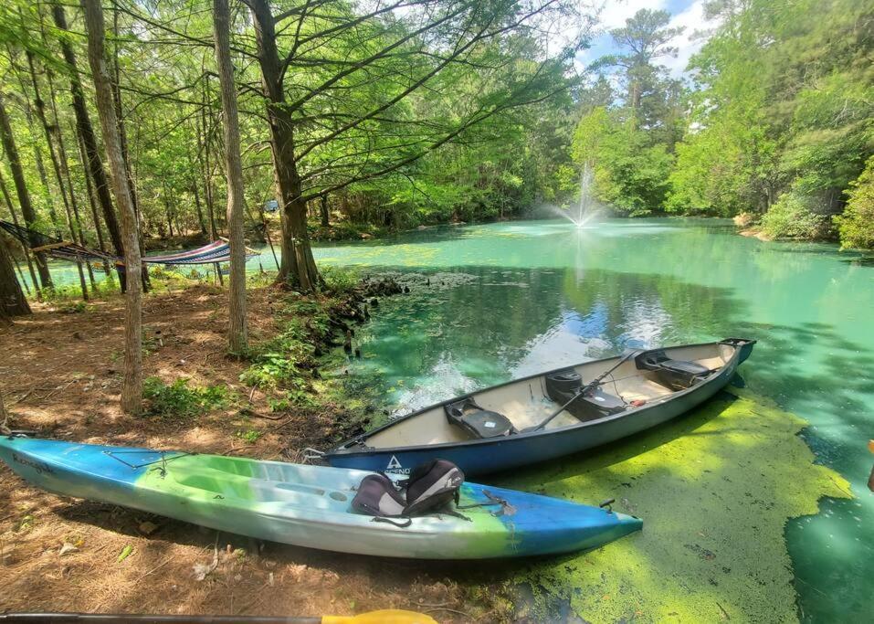 Waterfront Treehouse In A Magical Forest Waller Eksteriør bilde