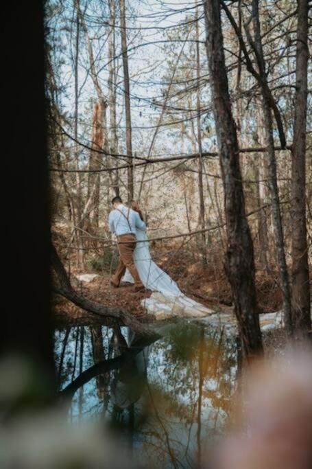 Waterfront Treehouse In A Magical Forest Waller Eksteriør bilde