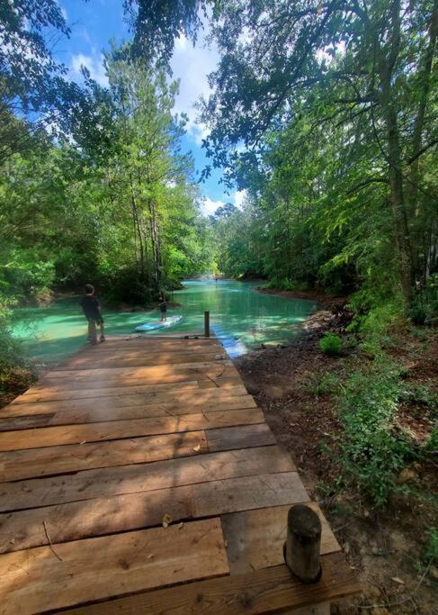 Waterfront Treehouse In A Magical Forest Waller Eksteriør bilde