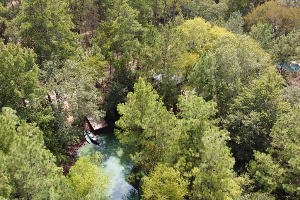 Waterfront Treehouse In A Magical Forest Waller Eksteriør bilde