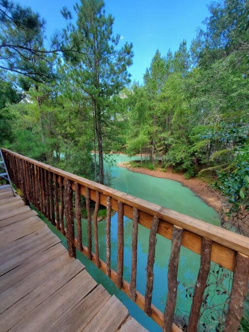 Waterfront Treehouse In A Magical Forest Waller Eksteriør bilde