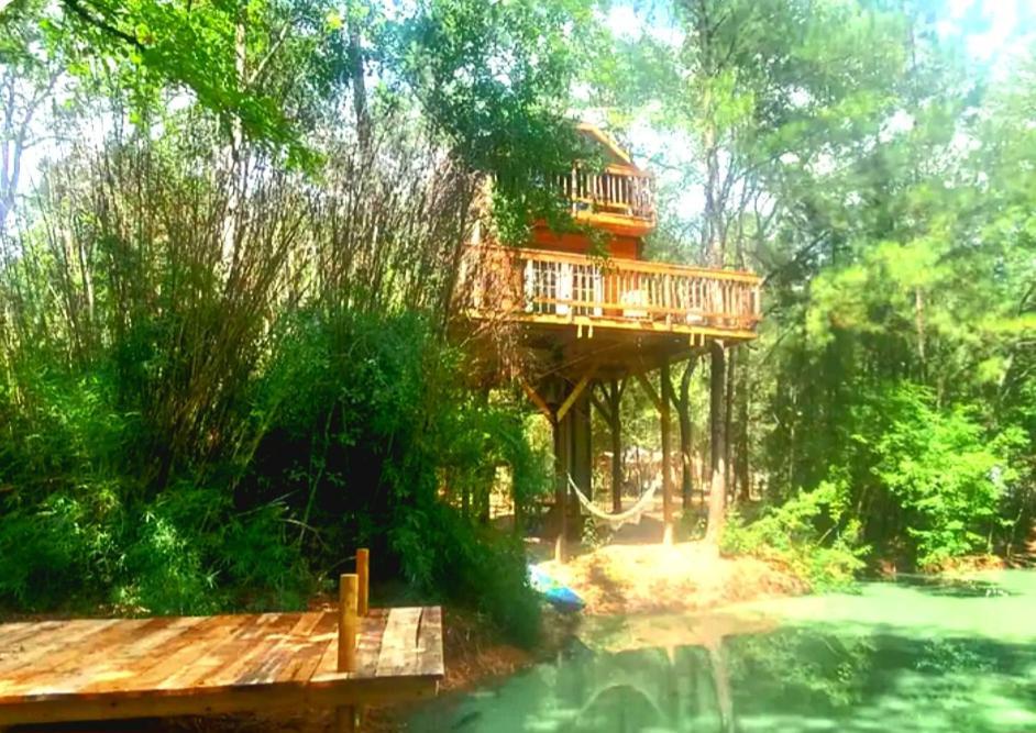 Waterfront Treehouse In A Magical Forest Waller Eksteriør bilde